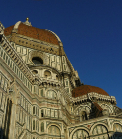Florence photo 1
